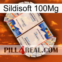 Sildisoft 100Mg kamagra1